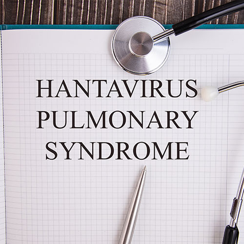 hantavirus pulmonary syndrome